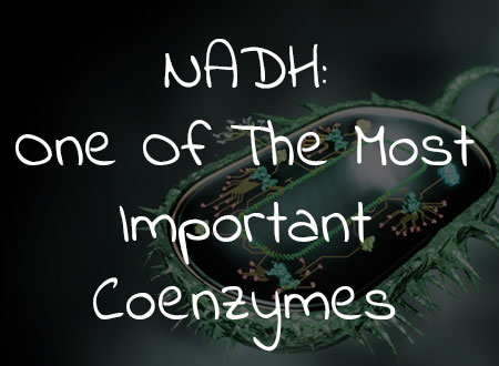 NADH: One Of The Most Important Coenzymes