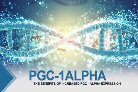 The Benefits of Increased PGC-1alpha Expression