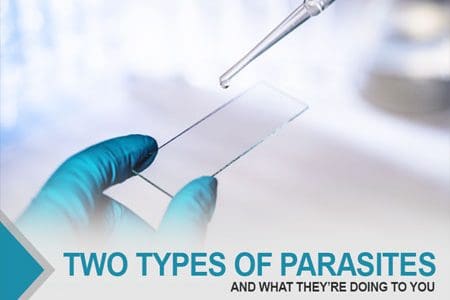 Two Types Of Parasites And What They’re Doing To You