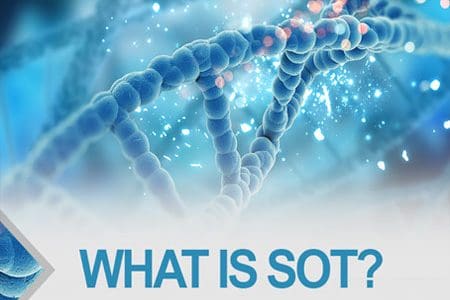 What Is SOT?